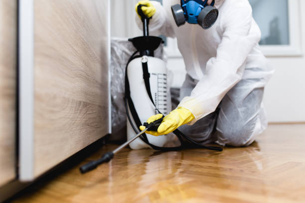 Best Commercial Pest Control Services  in Oak Hill, WV