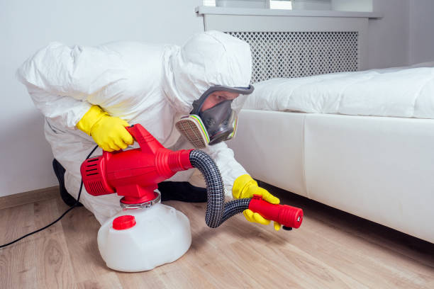 Best Termite Control Services  in Oak Hill, WV