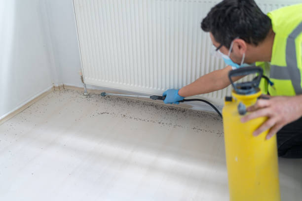 Best Pest Removal Services  in Oak Hill, WV
